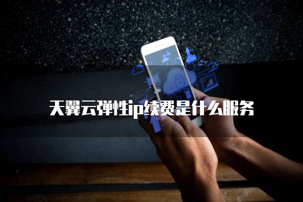 天翼云弹性ip续费是什么服务