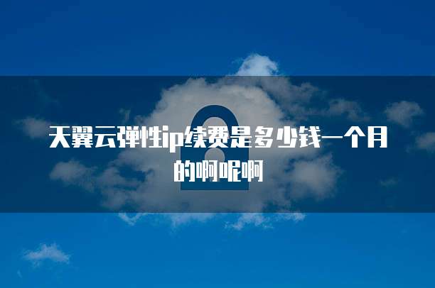 天翼云弹性ip续费是多少钱一个月的啊呢啊