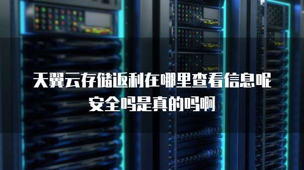 天翼云存储返利在哪里查看信息呢安全吗是真的吗啊