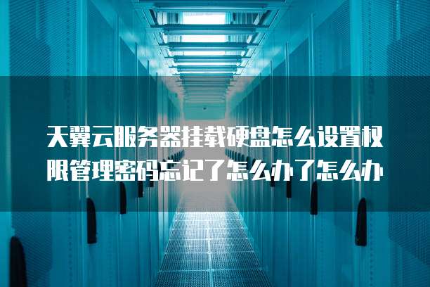 天翼云服务器挂载硬盘怎么设置权限管理密码忘记了怎么办了怎么办