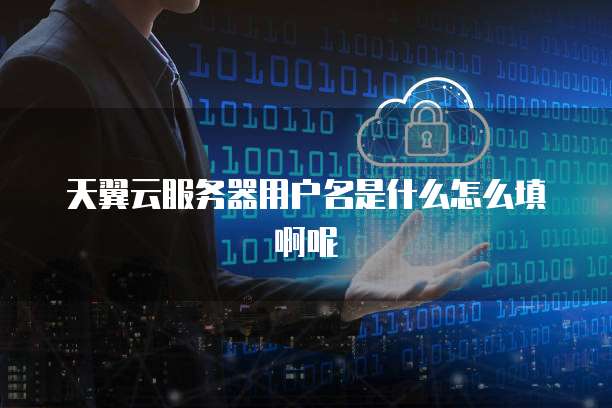 天翼云服务器用户名是什么怎么填啊呢