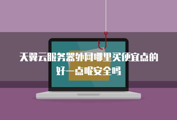 天翼云服务器外网哪里买便宜点的好一点呢安全吗