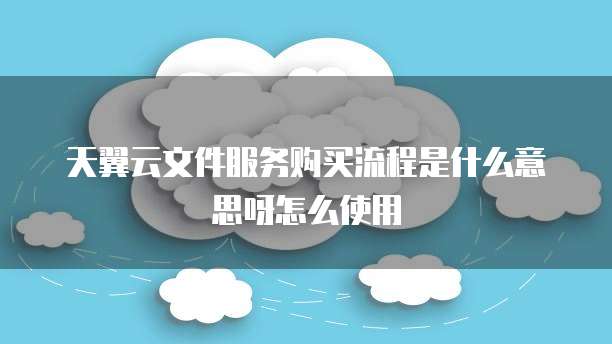 天翼云文件服务购买流程是什么意思呀怎么使用