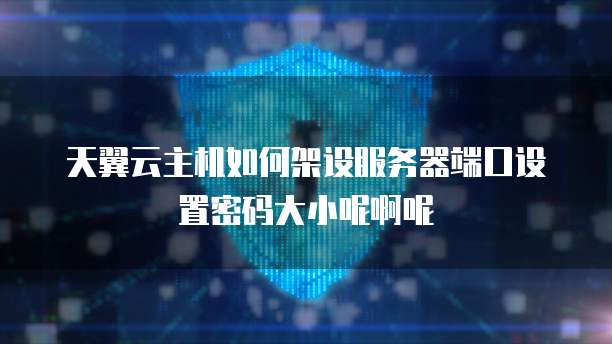 天翼云主机如何架设服务器端口设置密码大小呢啊呢