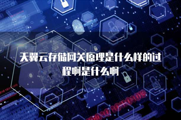 天翼云存储网关原理是什么样的过程啊是什么啊