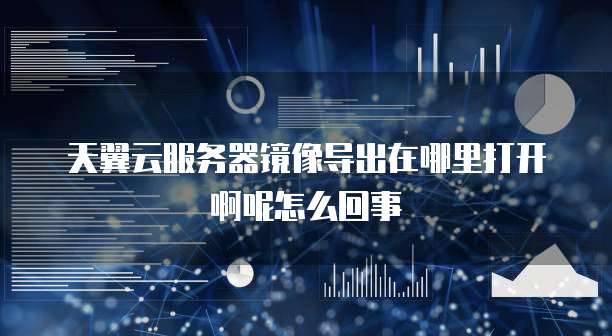 天翼云服务器镜像导出在哪里打开啊呢怎么回事