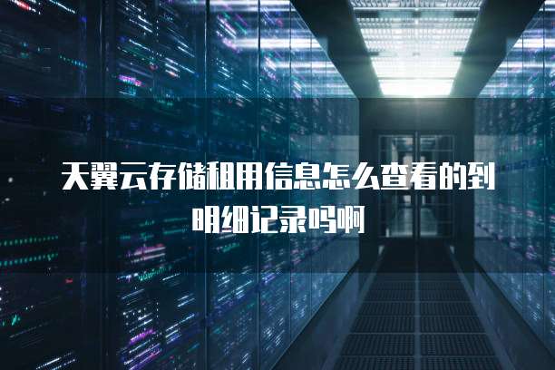 天翼云存储租用信息怎么查看的到明细记录吗啊