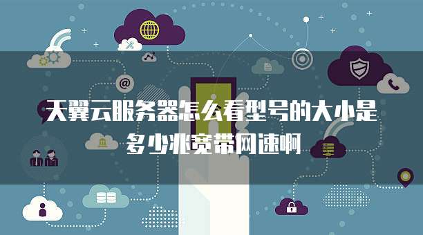 天翼云服务器怎么看型号的大小是多少兆宽带网速啊