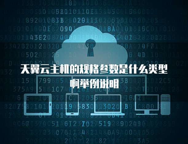 天翼云主机的规格参数是什么类型啊举例说明