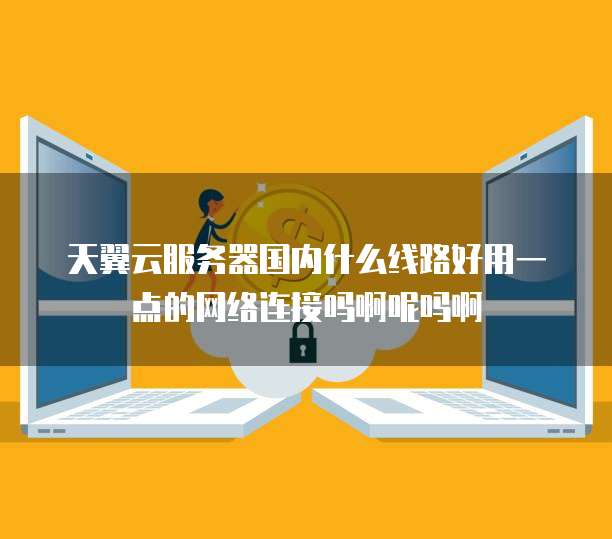 天翼云服务器国内什么线路好用一点的网络连接吗啊呢吗啊