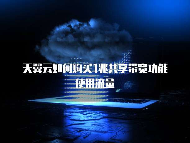 天翼云如何购买1兆共享带宽功能使用流量