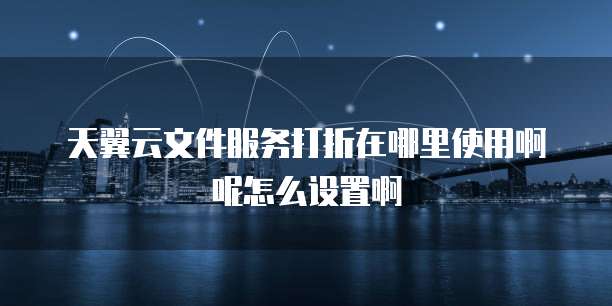 天翼云文件服务打折在哪里使用啊呢怎么设置啊