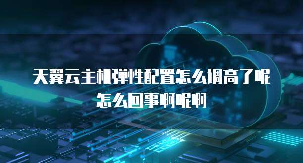 天翼云主机弹性配置怎么调高了呢怎么回事啊呢啊