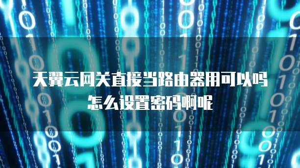 天翼云网关直接当路由器用可以吗怎么设置密码啊呢