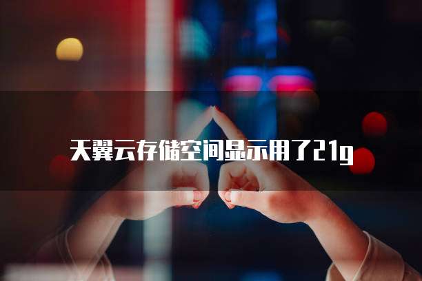 天翼云存储空间显示用了21g