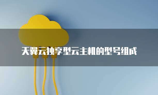 天翼云独享型云主机的型号组成