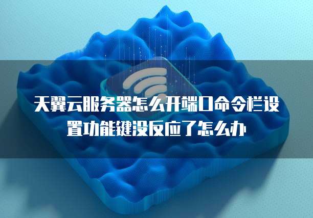 天翼云服务器怎么开端口命令栏设置功能键没反应了怎么办