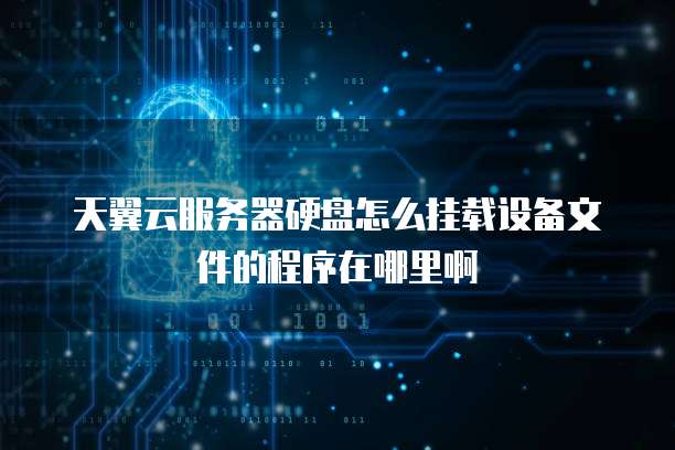 天翼云服务器硬盘怎么挂载设备文件的程序在哪里啊