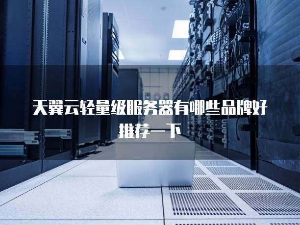 天翼云轻量级服务器有哪些品牌好推荐一下