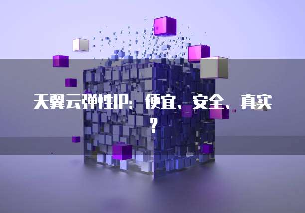 天翼云弹性IP：便宜、安全、真实？