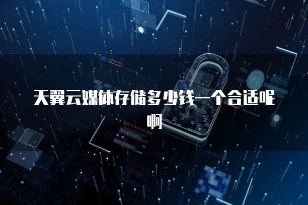 天翼云媒体存储多少钱一个合适呢啊