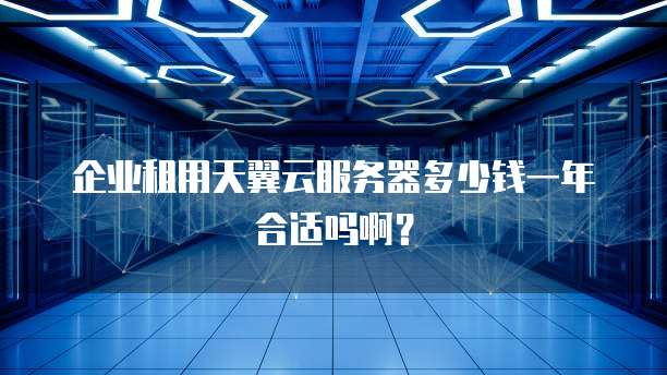 企业租用天翼云服务器多少钱一年合适吗啊?