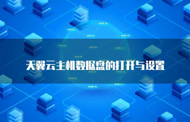 天翼云主机数据盘的打开与设置