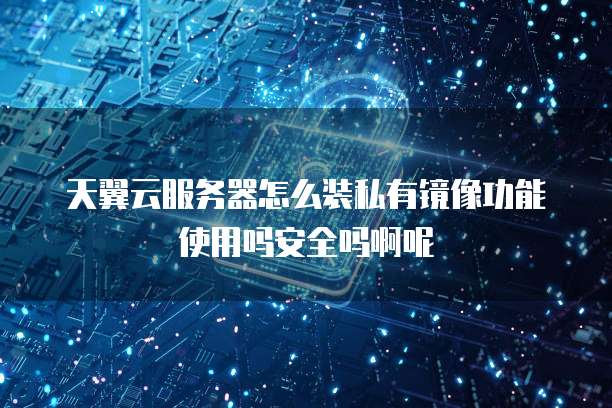 天翼云服务器怎么装私有镜像功能使用吗安全吗啊呢