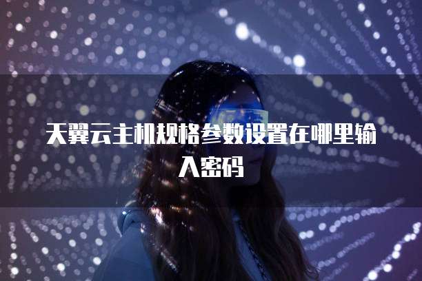 天翼云主机规格参数设置在哪里输入密码