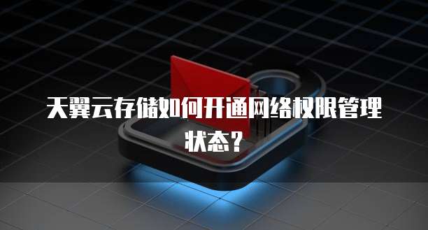 天翼云存储如何开通网络权限管理状态?