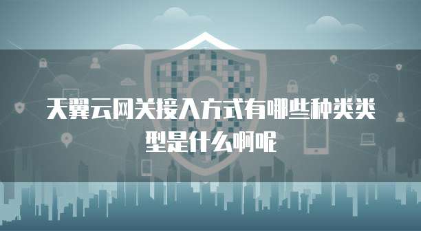 天翼云网关接入方式有哪些种类类型是什么啊呢