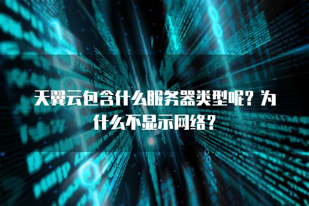 天翼云包含什么服务器类型呢?为什么不显示网络?