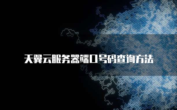 天翼云服务器端口号码查询方法