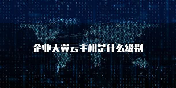 企业天翼云主机是什么级别