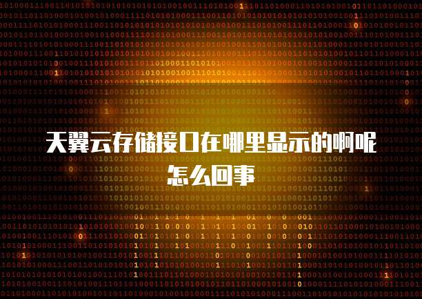 天翼云存储接口在哪里显示的啊呢怎么回事