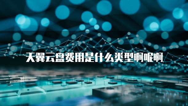 天翼云盘费用是什么类型啊呢啊