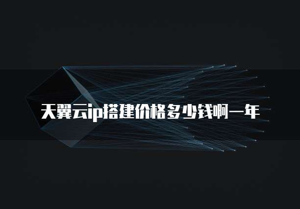 天翼云ip搭建价格多少钱啊一年