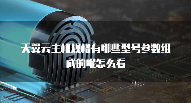 天翼云主机规格有哪些型号参数组成的呢怎么看