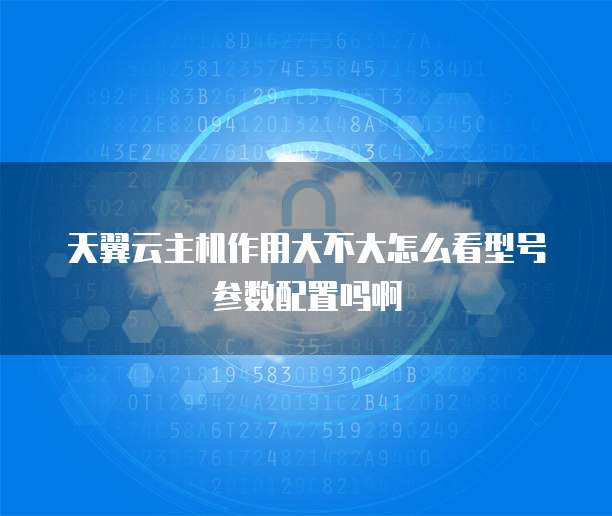 天翼云主机作用大不大怎么看型号参数配置吗啊
