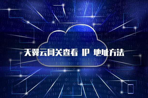 天翼云网关查看 IP 地址方法