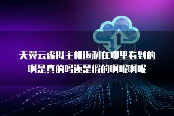 天翼云虚拟主机返利在哪里看到的啊是真的吗还是假的啊呢啊呢