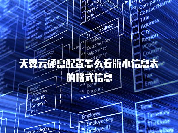 天翼云硬盘配置怎么看版本信息表的格式信息