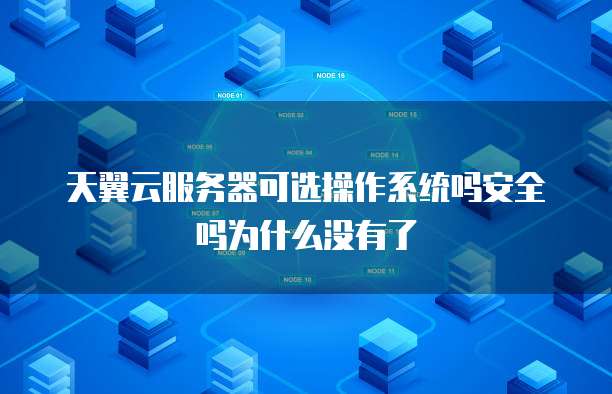 天翼云服务器可选操作系统吗安全吗为什么没有了