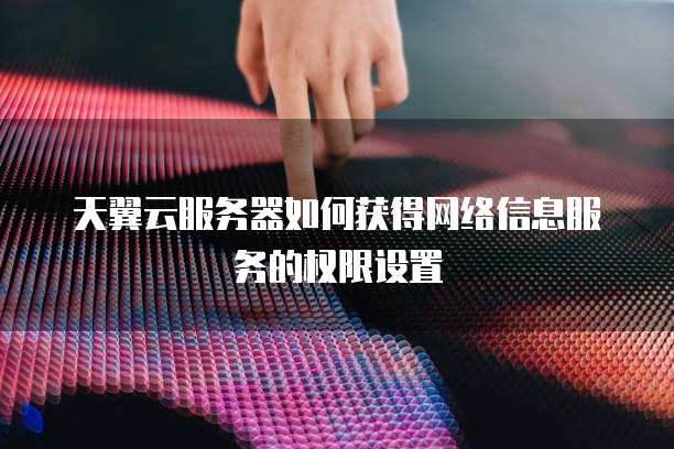 天翼云服务器如何获得网络信息服务的权限设置