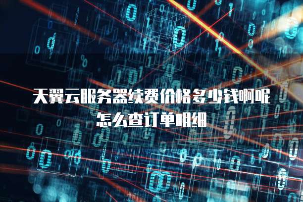天翼云服务器续费价格多少钱啊呢怎么查订单明细