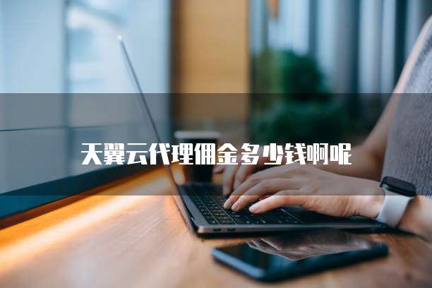 天翼云代理佣金多少钱啊呢