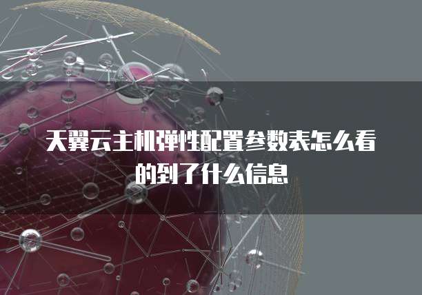 天翼云主机弹性配置参数表怎么看的到了什么信息