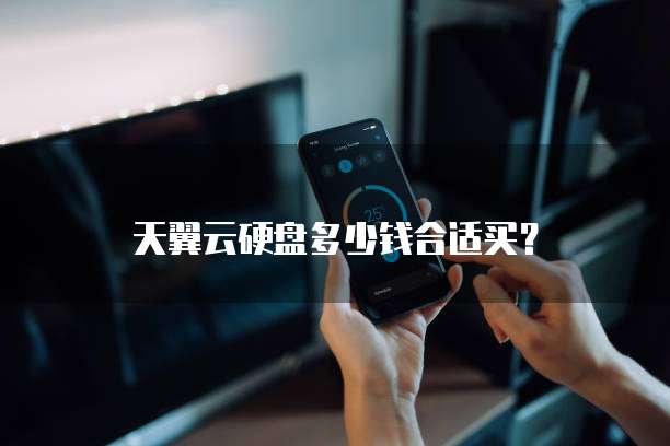 天翼云硬盘多少钱合适买?
