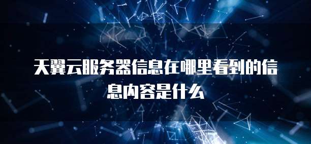 天翼云服务器信息在哪里看到的信息内容是什么