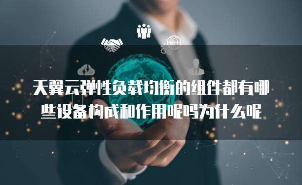 天翼云弹性负载均衡的组件都有哪些设备构成和作用呢吗为什么呢